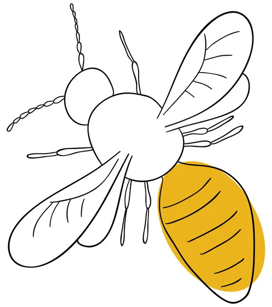 stock vector The wasp