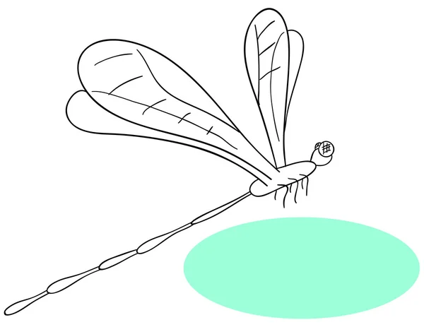 Libelle — Stockvektor