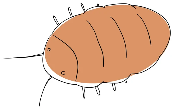 Cucaracha — Vector de stock