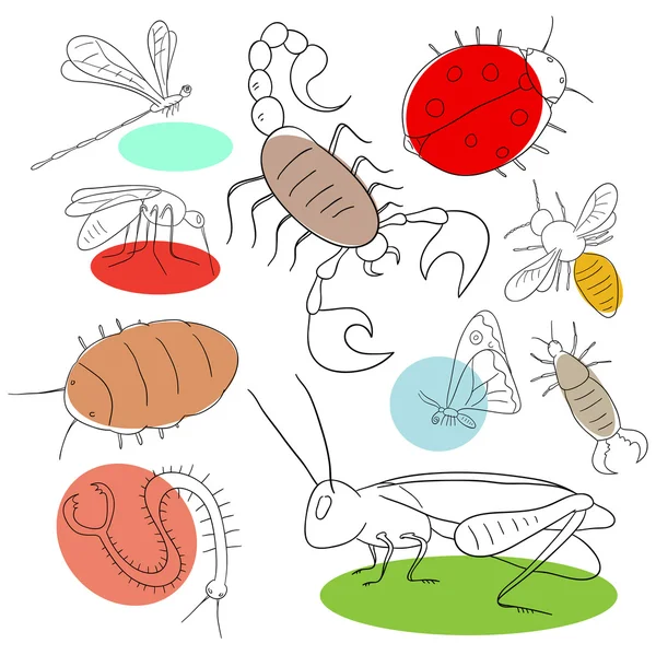 Collection d'insectes — Image vectorielle