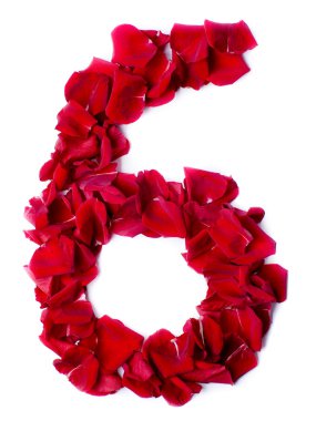 Number 6 made from red rose clipart