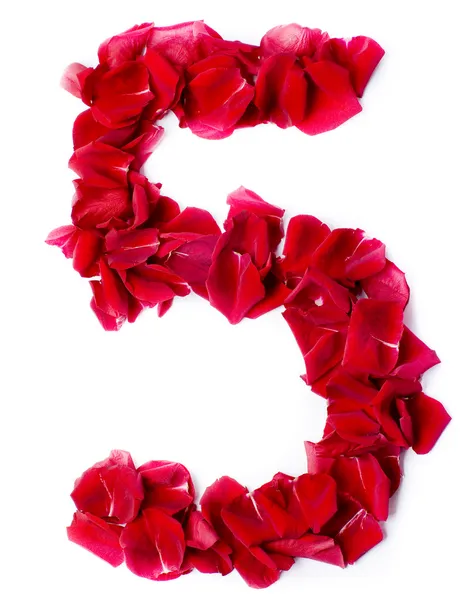 Zahl 5 aus roter Rose — Stockfoto