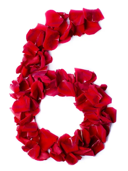 붉은 장미에서 만든 번호 6 — 스톡 사진