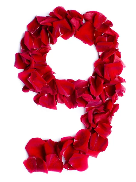 Number 9 made from red rose — Stock Photo, Image