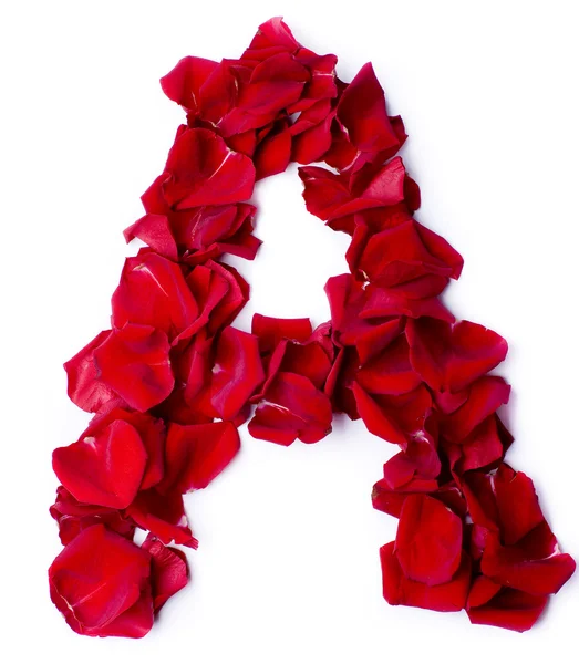 Alphabet A made from red rose — Stock Photo, Image