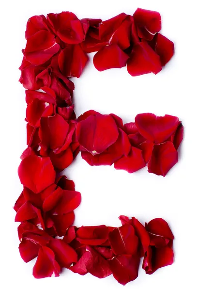赤いバラから作られたアルファベットの e — ストック写真