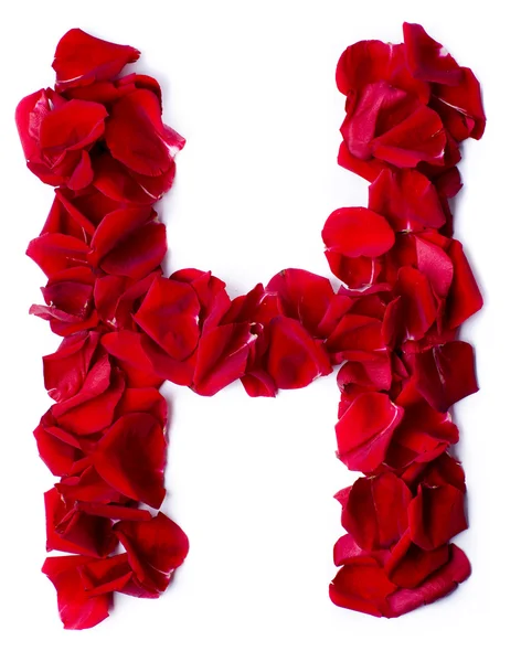 Alphabet H made from red rose — Stock Photo, Image