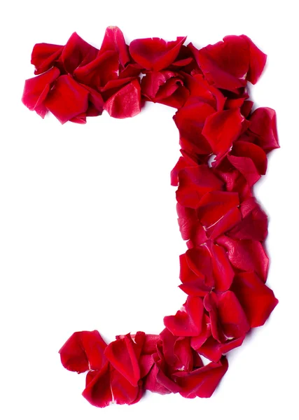 붉은 장미에서 만든 알파벳 J — 스톡 사진