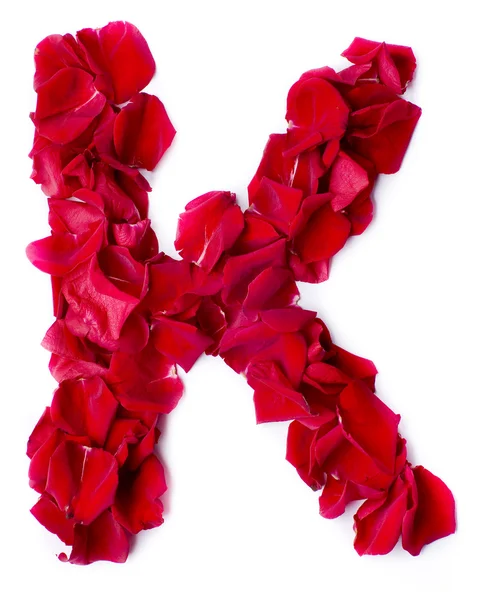 Алфавит K из красной розы — стоковое фото