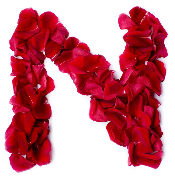 Alphabet N made from red rose — Stock Photo, Image