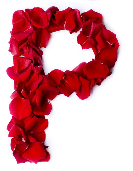 Alphabet P made from red rose — Stock Photo, Image