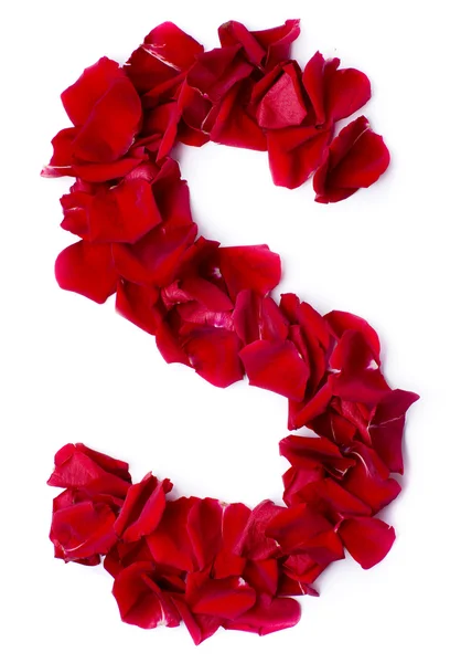 Alphabet S made from red rose — Stock Photo, Image