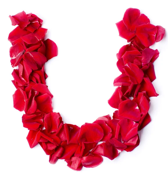 Alphabet U made from red rose — Stock Photo, Image