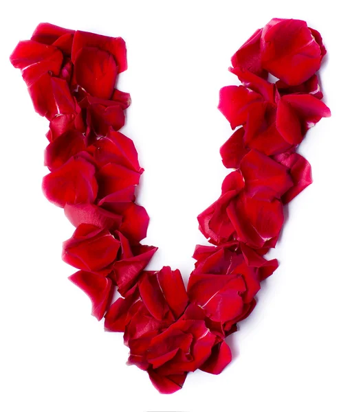 Alphabet V made from red rose — Stock Photo, Image