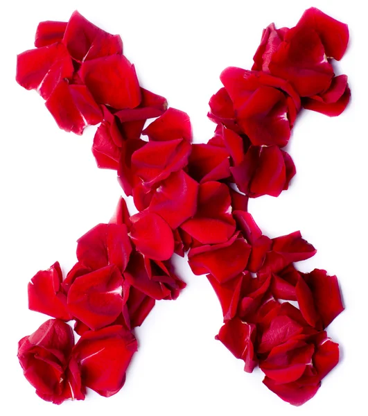 붉은 장미에서 만든 알파벳 X — 스톡 사진