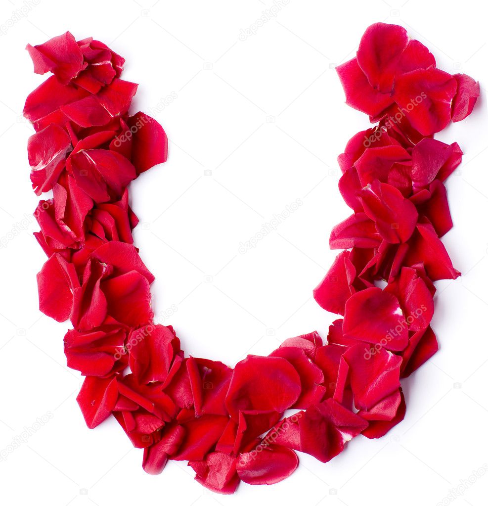 Alphabet U made from red rose