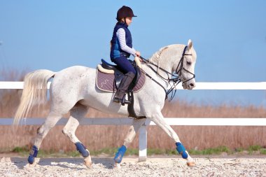 The horsewoman on a white horse clipart