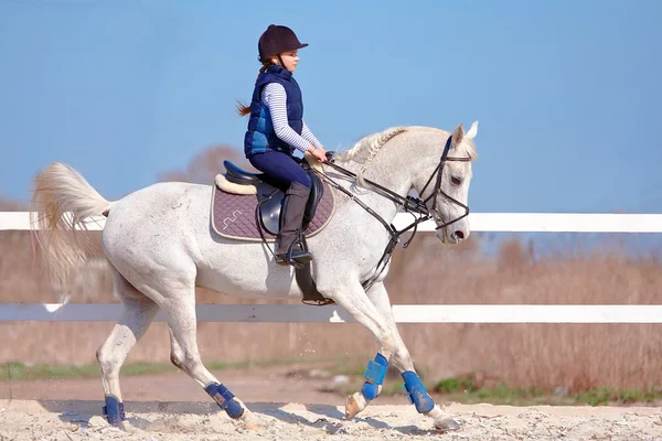 The horsewoman on a white horse — Stock Photo, Image