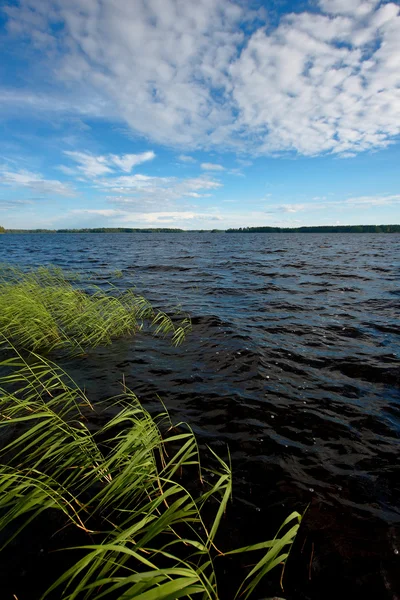 stock image Water landscape