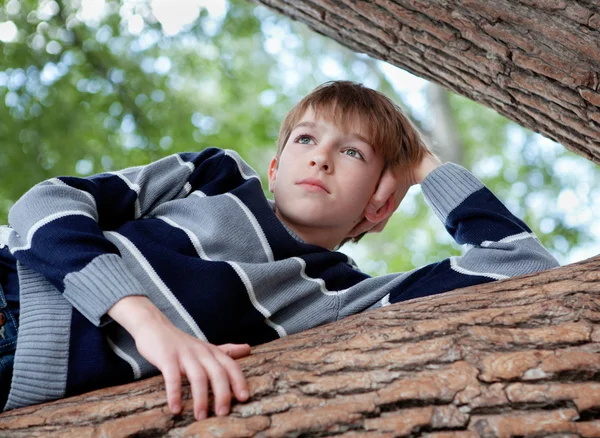 Teenager sitzt in einem Baum und träumt, Sommer — Stockfoto