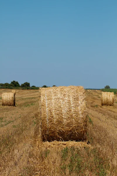 Hay bags — 图库照片