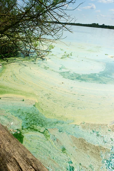Floden kontaminering — 图库照片