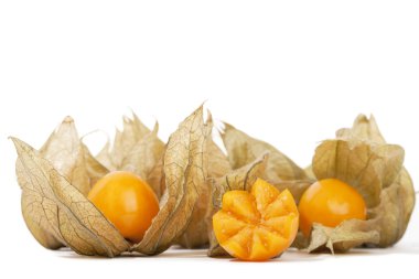 Physalis