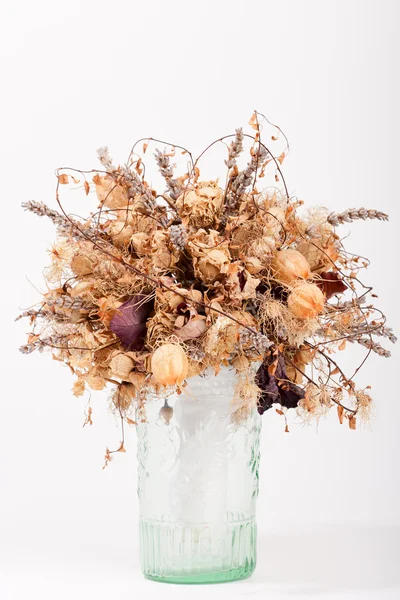 stock image Dry flowers in a glass vase