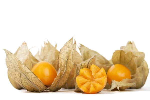 stock image Physalis