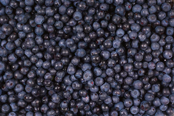 蓝莓背景 — 图库照片