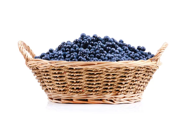 蓝莓篮 — 图库照片