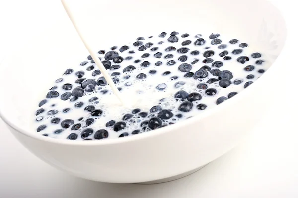 Verser le lait sur un bol de bleuets frais — Photo