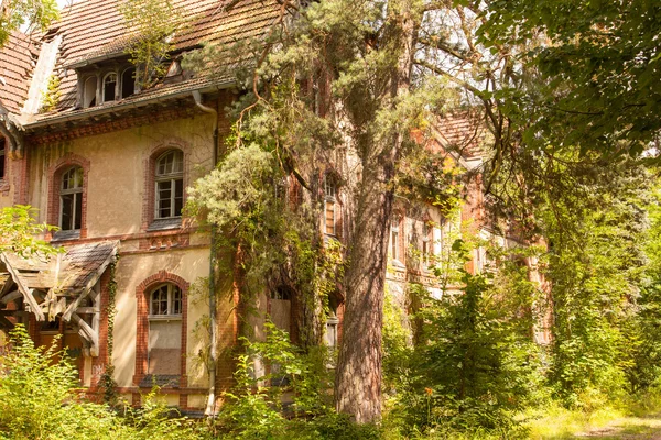 Een oude bijna geruïneerde gebouw staat in een forest — Stockfoto