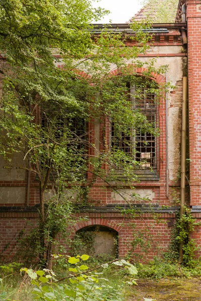 stock image An old almost ruined building is standing in a forest