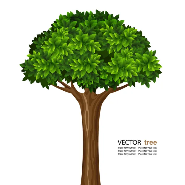 Vector tree — Stock Vector