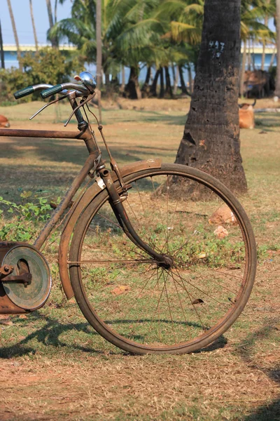 Vieux vélo — Photo
