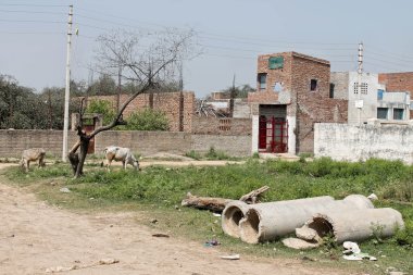 Vrindavan