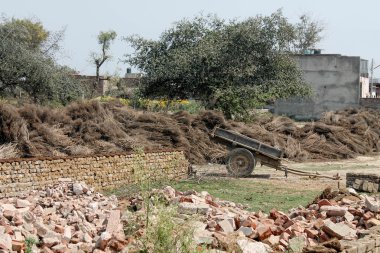 Vrindavan