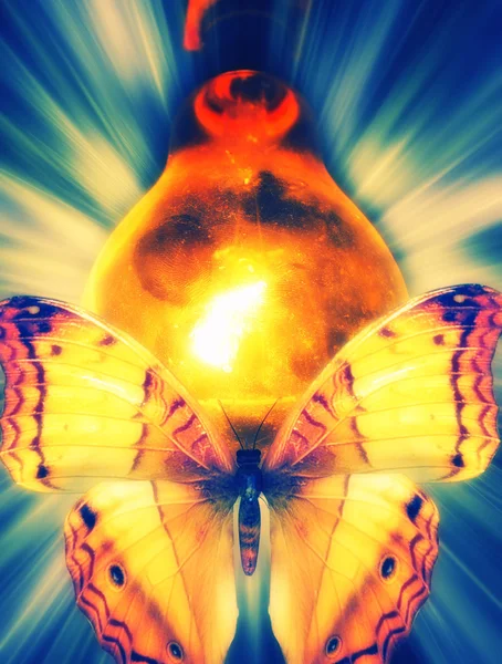 Lampa med flygande fjärilar — Stockfoto