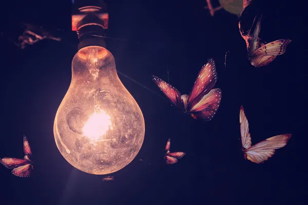 Lamp met vliegende vlinders — Stockfoto