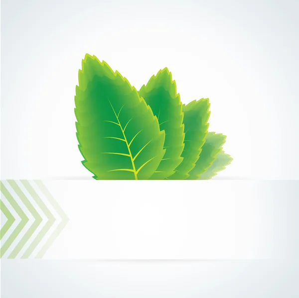 緑の葉と抽象的なベクトルの背景 — ストックベクタ