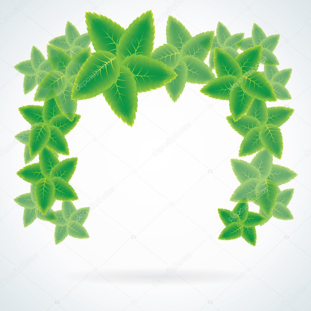Vector leaf frame or bubble for text