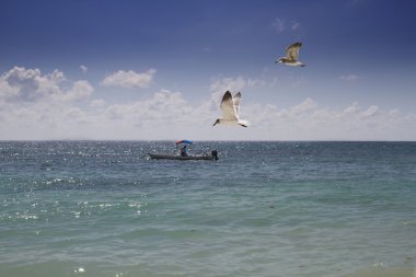 Boat and seagull clipart