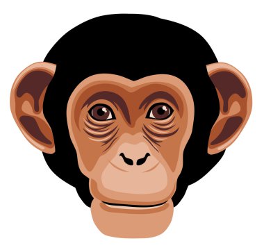 Monkey clipart