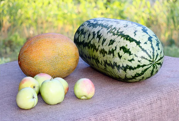 Stock image Watermelon and melon