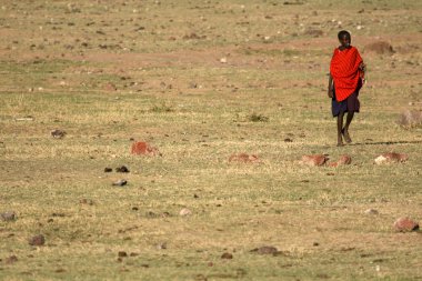 Masai Tribe Person - Ngorongoro Crater, Tanzania, Africa clipart