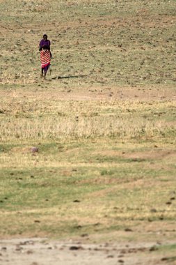 Masai kabilesi kişi - ngorongoro krateri, Tanzanya, Afrika