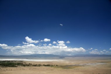 Ngorongoro krateri, Tanzanya, Afrika