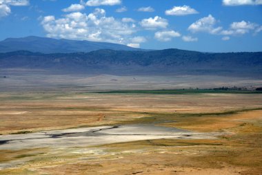 Ngorongoro krateri, Tanzanya, Afrika