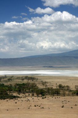 Ngorongoro krateri, Tanzanya, Afrika